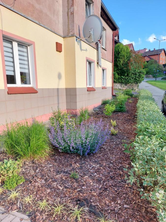 Apartament Rosiczka Duszniki Zdrój Esterno foto